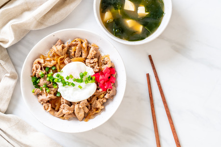 pork rice bowl with egg (Donburi) - japanese food styleの写真素材
