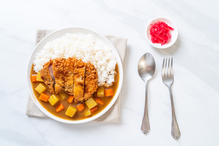 Crispy fried pork cutlet with curry and rice - Japanese food styleの写真素材