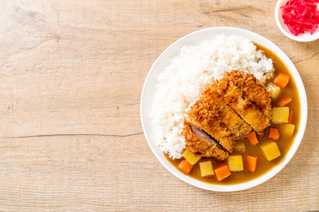 Crispy fried pork cutlet with curry and rice - Japanese food styleの写真素材