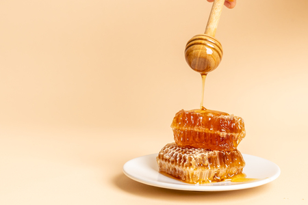 honey and fresh honeycombs with copy spaceの写真素材