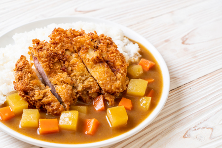 Crispy fried pork cutlet with curry and rice - Japanese food styleの写真素材