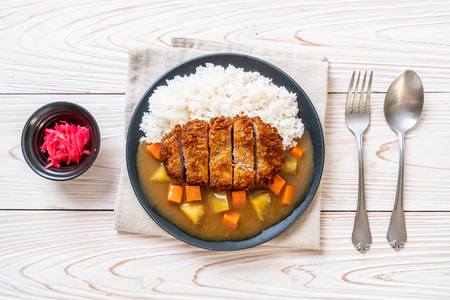 Crispy fried pork cutlet with curry and rice - Japanese food styleの写真素材