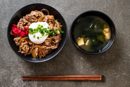 pork rice bowl with egg (Donburi) - japanese food styleの写真素材