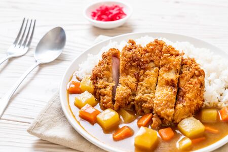 Crispy fried pork cutlet with curry and rice - Japanese food styleの写真素材