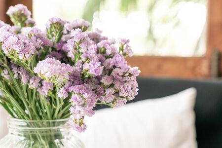 statice flower in vase decoration in living roomの写真素材
