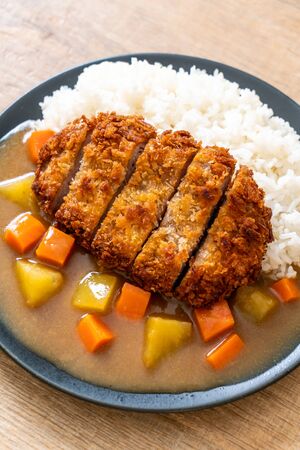 Crispy fried pork cutlet with curry and rice - Japanese food styleの写真素材