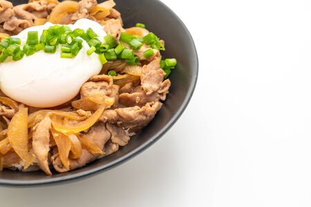 pork rice bowl with egg (Donburi) isolated on white background - japanese food styleの写真素材