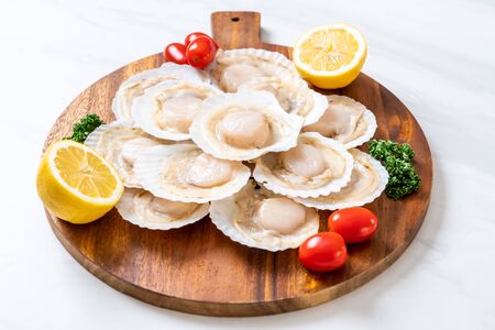 fresh shell scallop on wood boardの写真素材