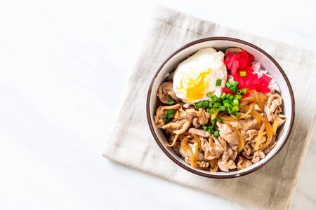 pork rice bowl with egg (Donburi) - japanese food styleの写真素材