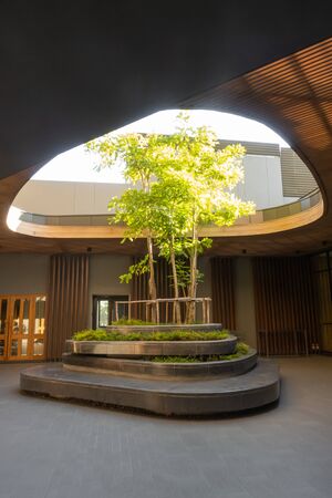 beautiful tree decoration at centre of building
