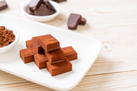 fresh and soft chocolate with cocoa powder