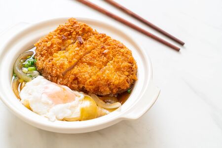 Japanese fried pork cutlet (katsudon) with onion soup and egg - Asian food styleの写真素材