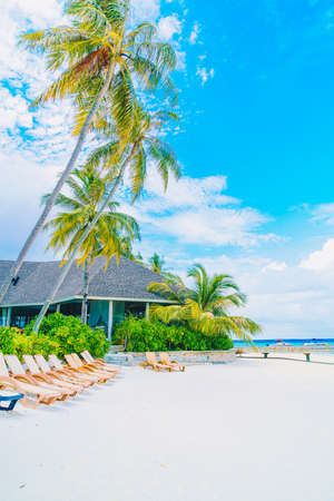 beach chair with tropical Maldives island  beach and sea - holiday vacation background concepのeditorial素材