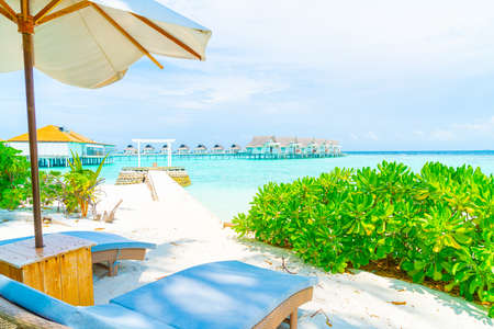 beach chair with tropical Maldives island  beach and sea - holiday vacation background concepのeditorial素材