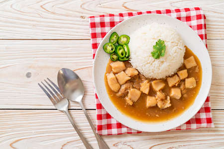 Chicken in brown sauce or gravy sauce with rice - Asian food styleの写真素材