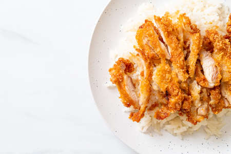 Hainanese chicken rice with fried chicken or rice steamed chicken soup with fried chicken - Asian food styleの写真素材