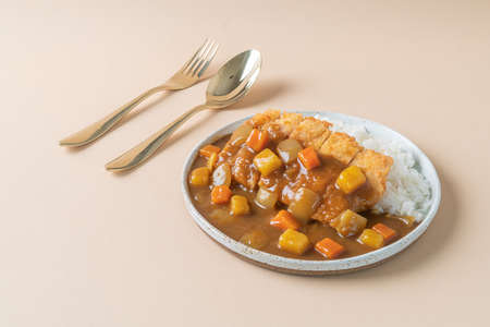 fried chicken cutlet curry with rice - Japanese food styleの写真素材