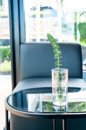 plant in vase decoration on table in living roomの写真素材