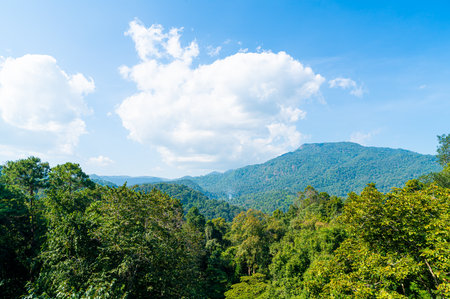 beautiful mountain hill with cloud and blue sky