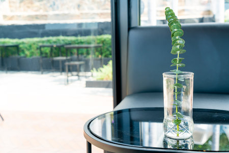 plant in vase decoration on table in living roomの写真素材