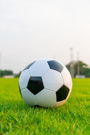 Soccer ball on the football field  background with copy spaceの写真素材
