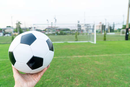 Soccer ball on the football field  background with copy spaceの写真素材