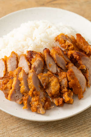 fried pork topped on rice with spicy dipping sauceの写真素材