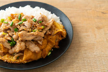 stir-fried pork with garlic and egg topped on rice - Asian food styleの写真素材