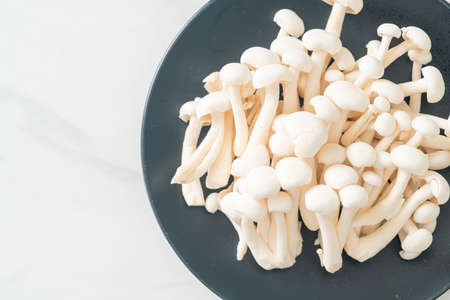 fresh white beech mushroom or white reishi mushroom on plate