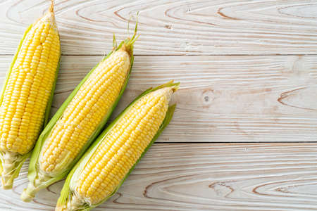 fresh corn on wood background with copy space