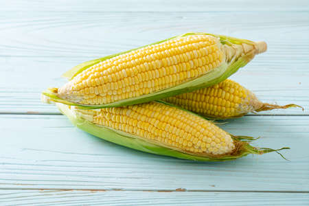fresh corn on wood background with copy space