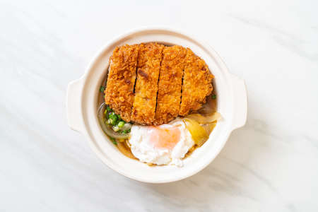 Japanese fried pork cutlet (katsudon) with onion soup and egg - Asian food styleの写真素材