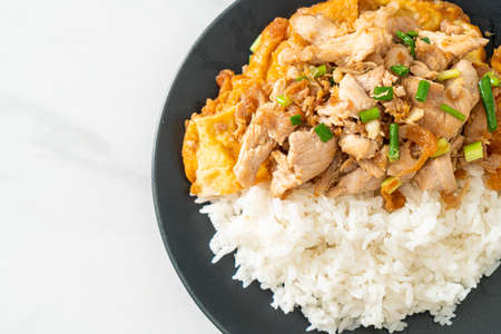 stir-fried pork with garlic and egg topped on rice - Asian food styleの写真素材