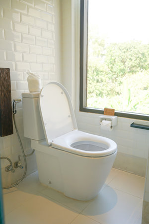 white toilet in luxury restroom with windowの写真素材