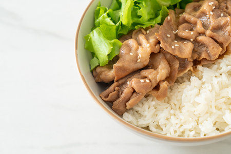 Homemade Japanese Pork Donburi Rice Bowlの写真素材