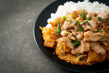 stir-fried pork with garlic and egg topped on rice - Asian food styleの写真素材