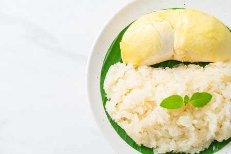 Durian with sticky rice -  sweet durian peel with yellow bean, Ripe durian rice cooked with coconut milk - Asian Thai dessert summer tropical fruit foodの写真素材