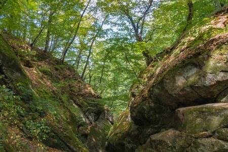Canyon in the summer forest near river Psekups.の写真素材