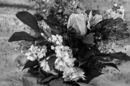 Bouquet of the spring flowerson the bright  background, black and white.