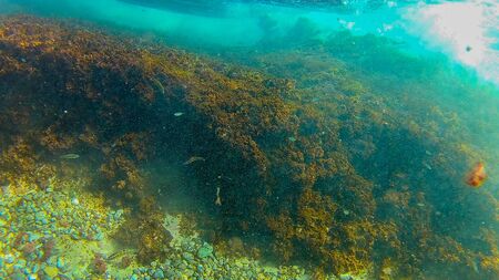 Mediterranean sea (Sea of Crete) underwater.