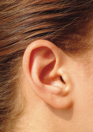 Close-up of a young woman's earの写真素材