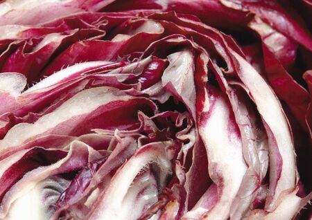 Close-up of the cross-section of a red cabbageの写真素材