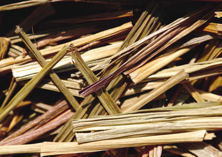 Close-up of dried herbsの写真素材
