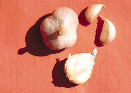 Close-up of garlic pods