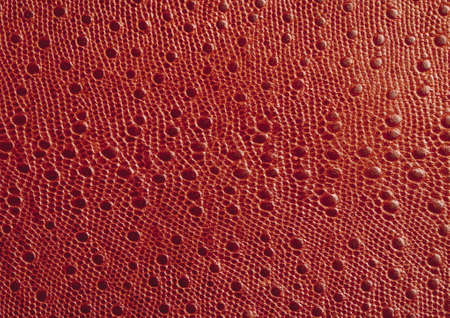 Close-up of the surface of leatherの写真素材