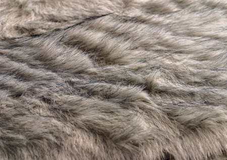 Close-up of fur