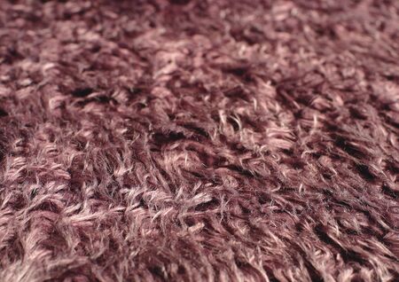 Close-up of fur
