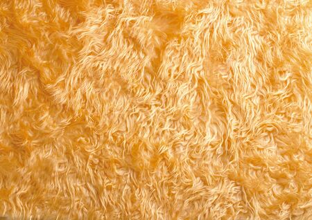 Close-up of fur