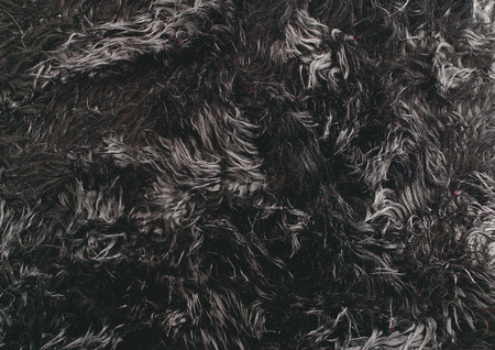 Close-up of furの写真素材