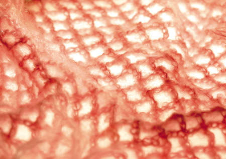 Close-up of a crochet fabric